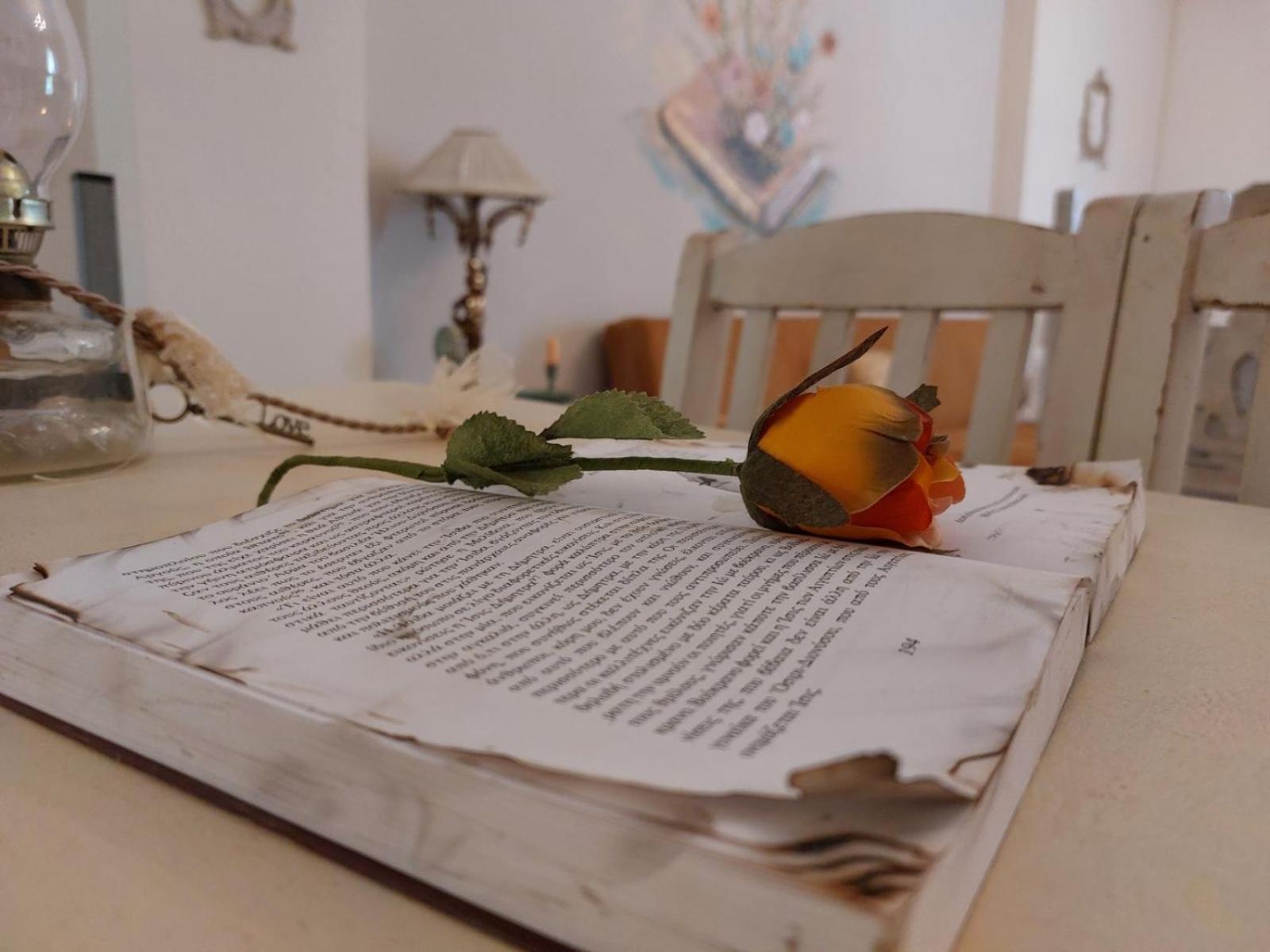 Apartment Antique Afytos